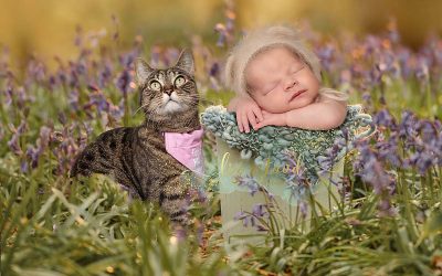 Beautiful at home newborn shoot with cat – Ipswich newborn photographer